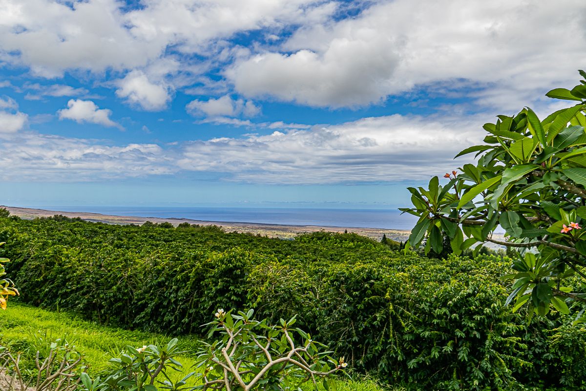 Ka`u Mahi Agricultural Lots